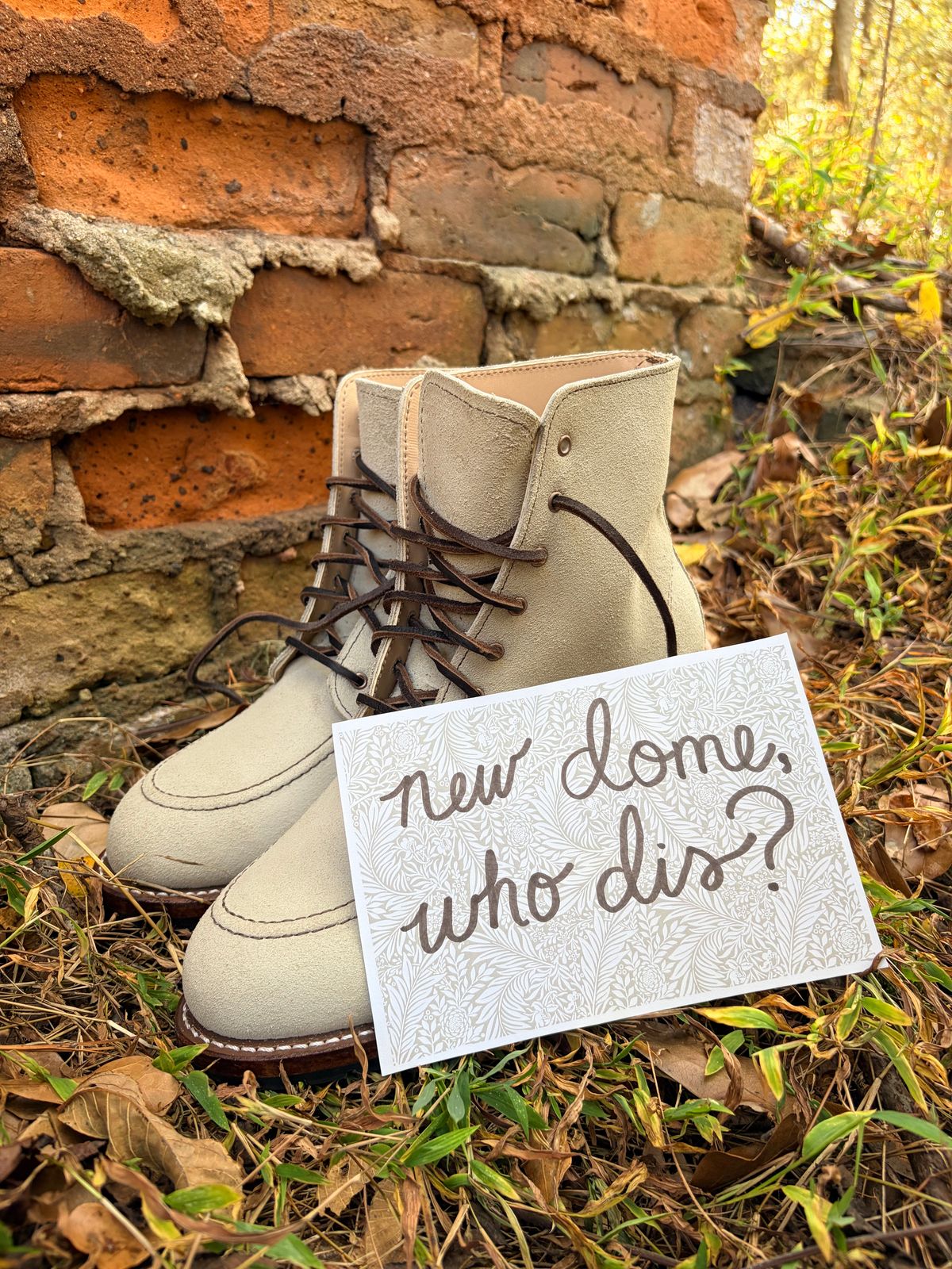 Photo by rosieteacher on October 18, 2025 of the Red Wing Clara in White Sand Mohave.