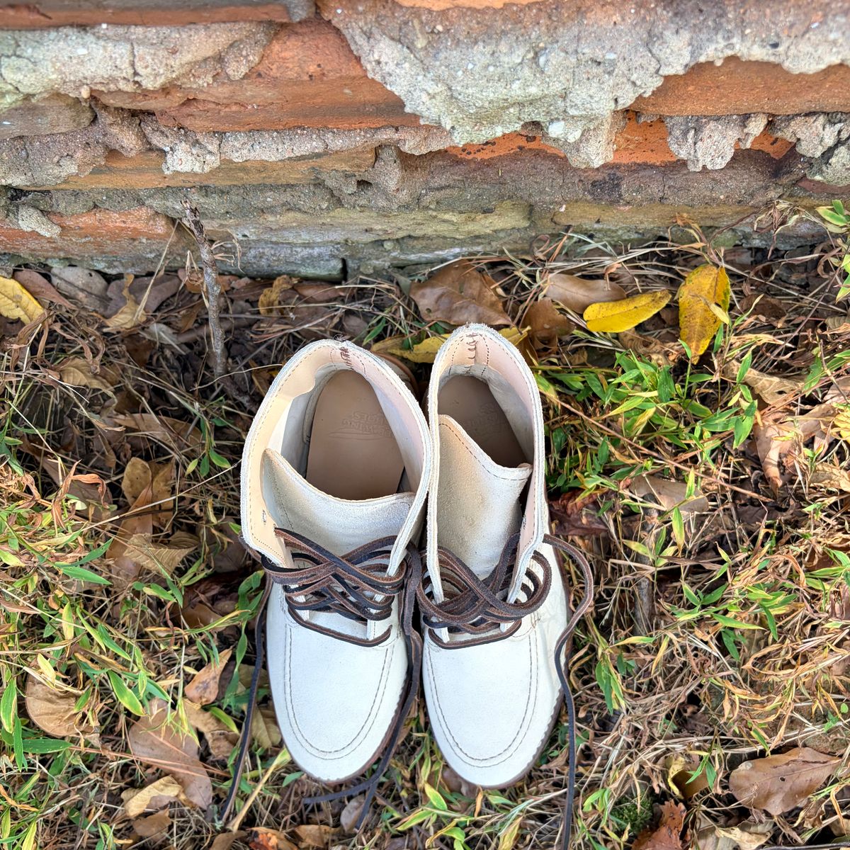 Photo by rosieteacher on October 18, 2025 of the Red Wing Clara in White Sand Mohave.