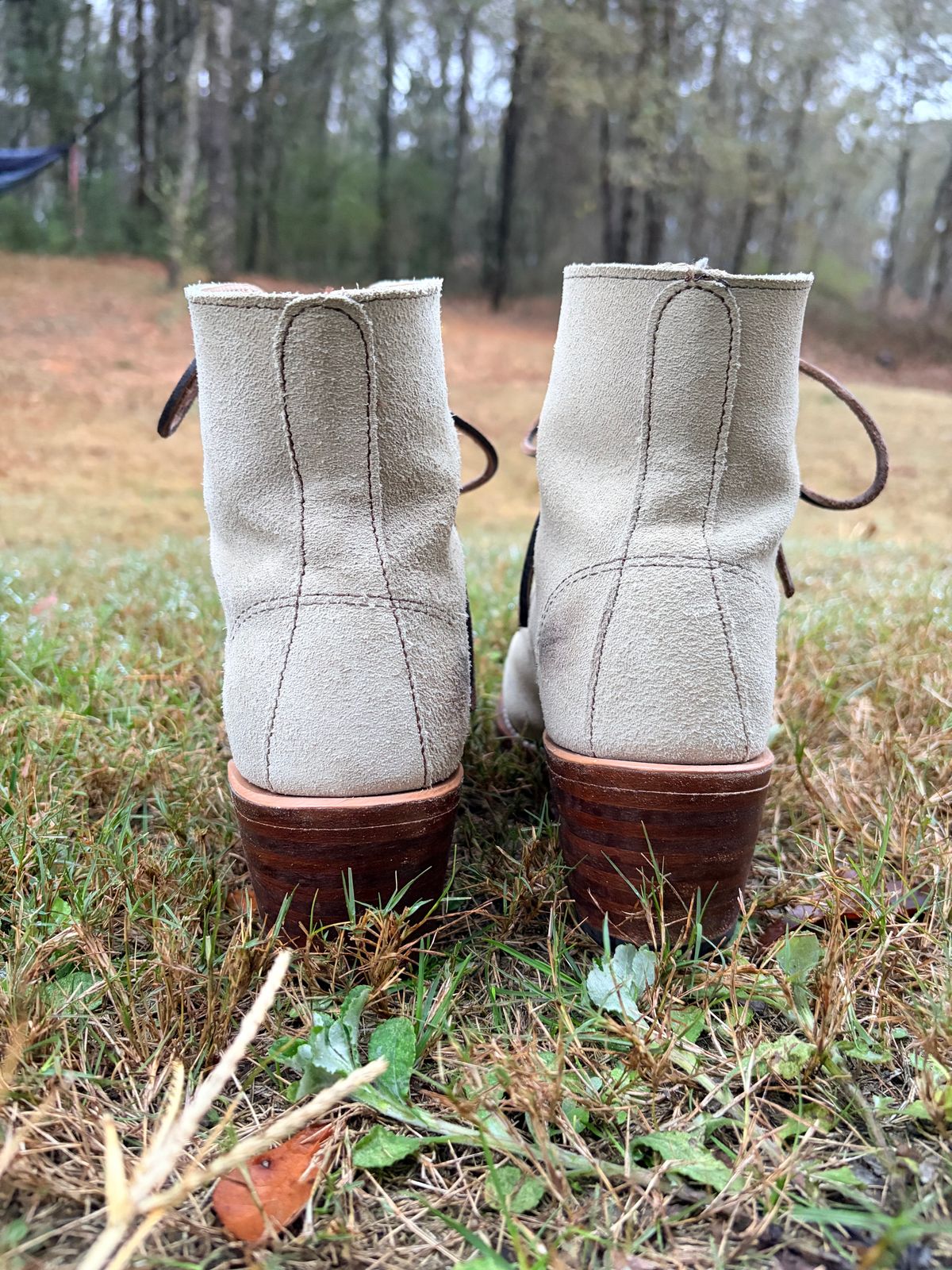 Photo by rosieteacher on December 5, 2025 of the Red Wing Clara in White Sand Mohave.