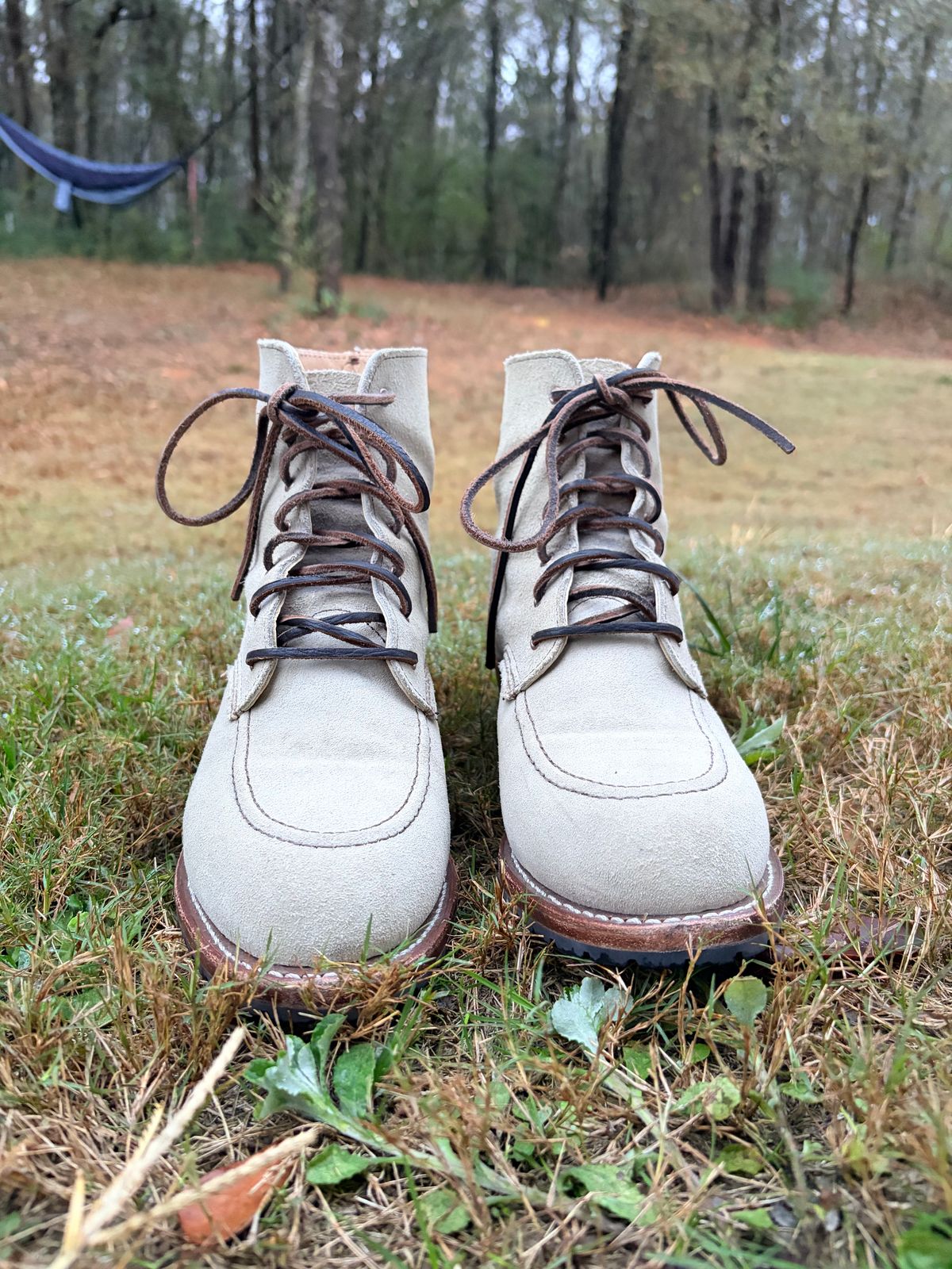 Photo by rosieteacher on December 5, 2025 of the Red Wing Clara in White Sand Mohave.