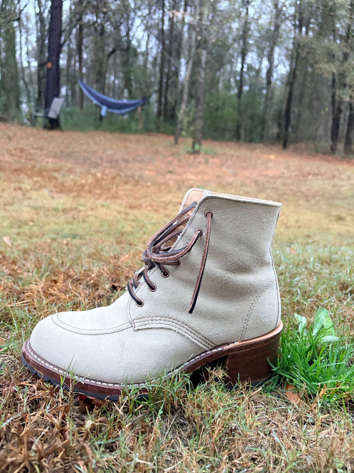 Photo by rosieteacher on December 5, 2025 of the Red Wing Clara in White Sand Mohave.