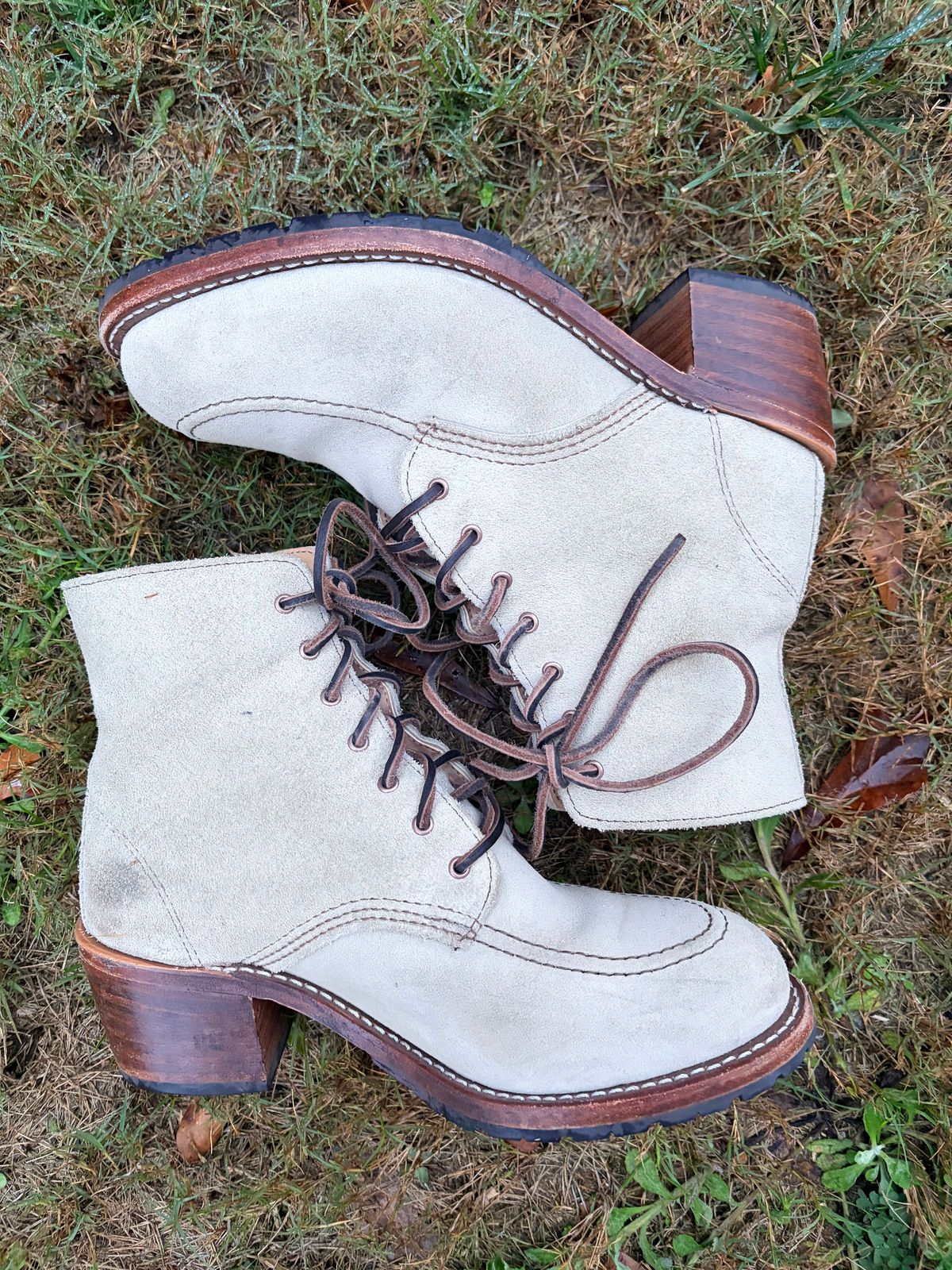 Photo by rosieteacher on December 5, 2025 of the Red Wing Clara in White Sand Mohave.