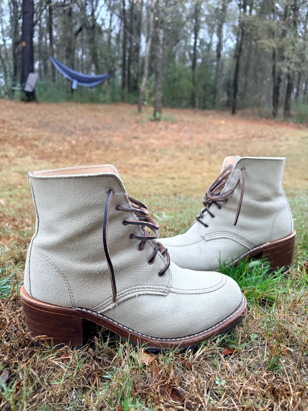 Photo by rosieteacher on December 5, 2025 of the Red Wing Clara in White Sand Mohave.