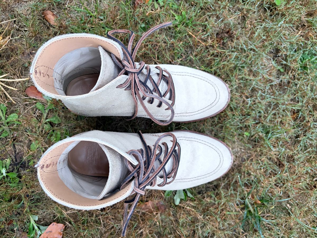 Photo by rosieteacher on December 5, 2025 of the Red Wing Clara in White Sand Mohave.