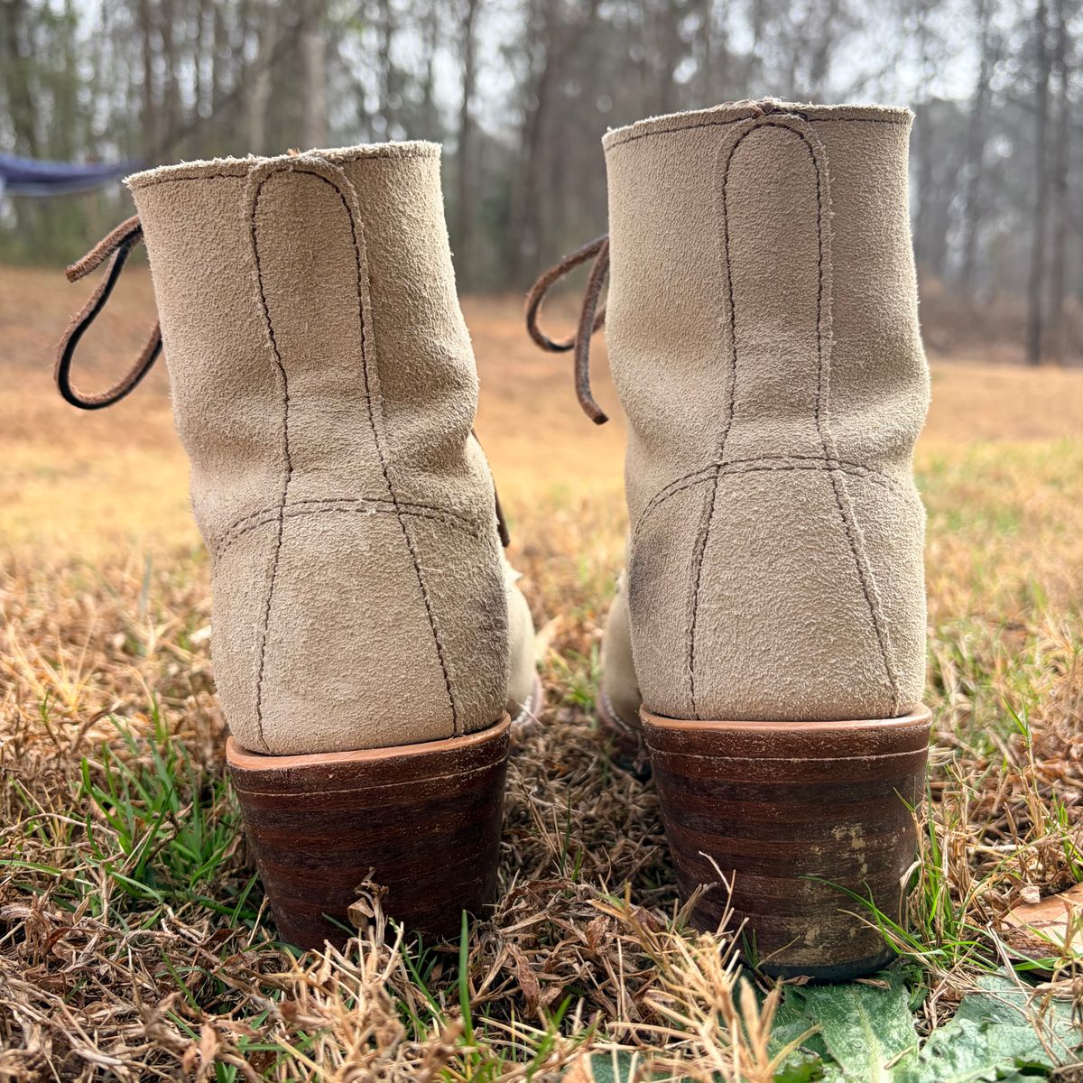 Photo by rosieteacher on January 4, 2026 of the Red Wing Clara in White Sand Mohave.