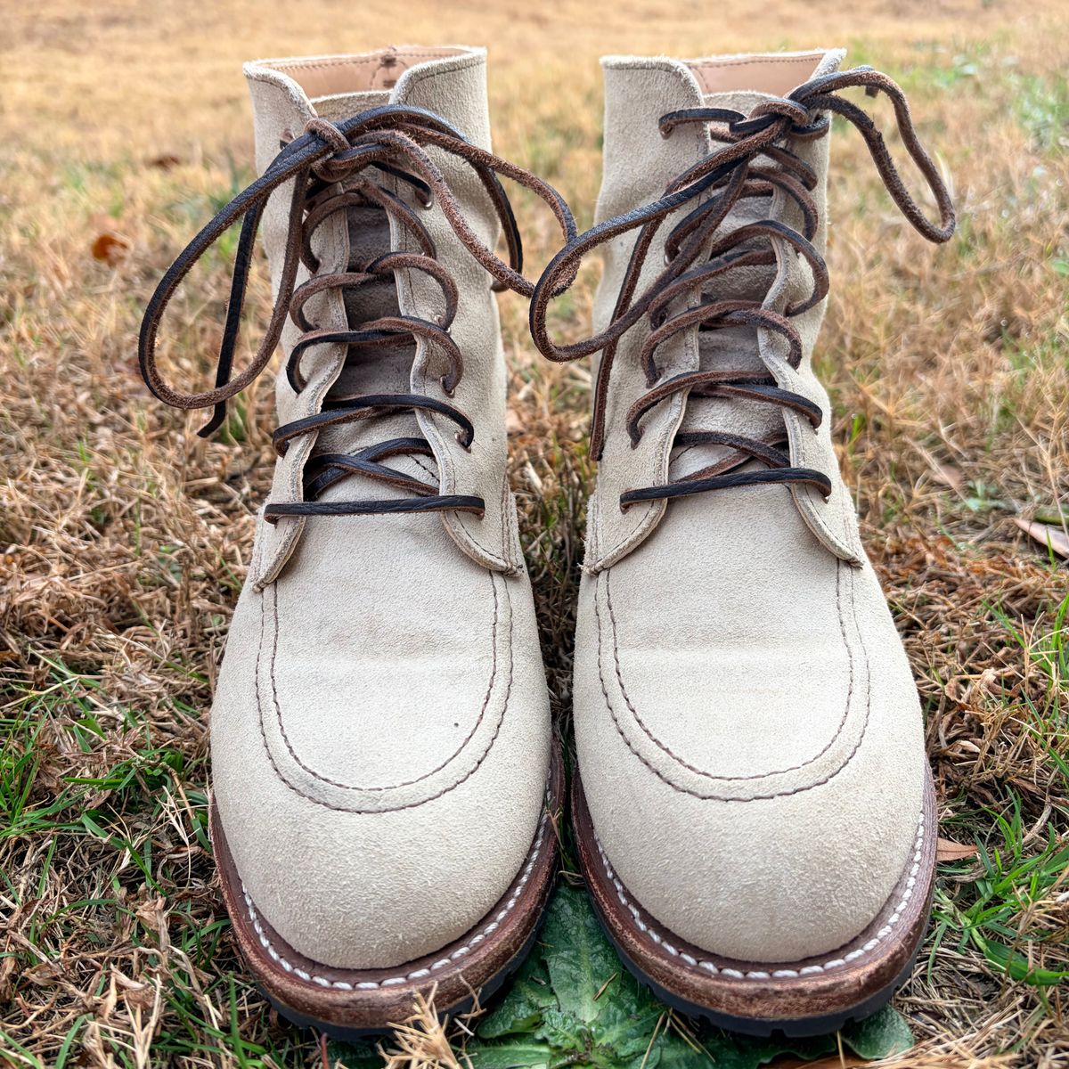 Photo by rosieteacher on January 4, 2026 of the Red Wing Clara in White Sand Mohave.