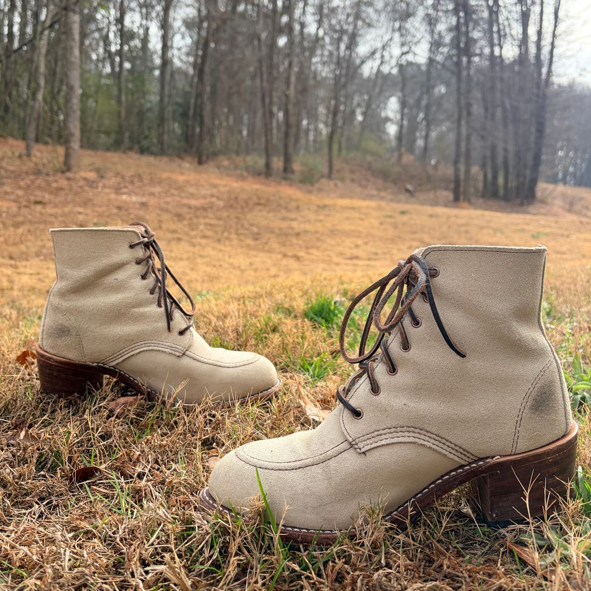 Photo by rosieteacher on January 4, 2026 of the Red Wing Clara in White Sand Mohave.