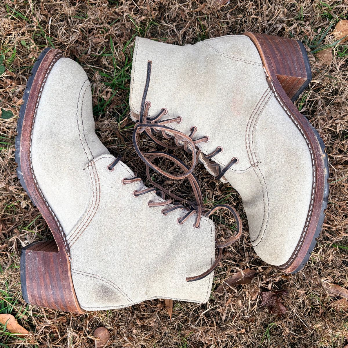 Photo by rosieteacher on January 4, 2026 of the Red Wing Clara in White Sand Mohave.