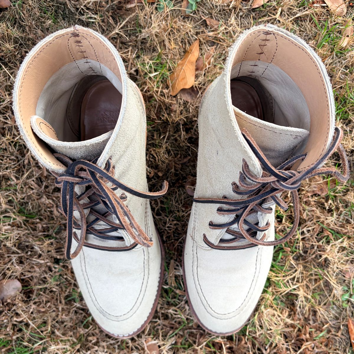 Photo by rosieteacher on January 4, 2026 of the Red Wing Clara in White Sand Mohave.