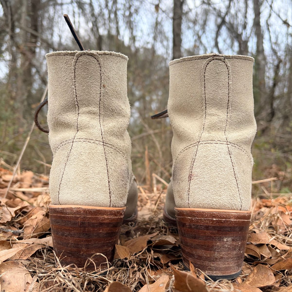 Photo by rosieteacher on February 5, 2026 of the Red Wing Clara in White Sand Mohave.