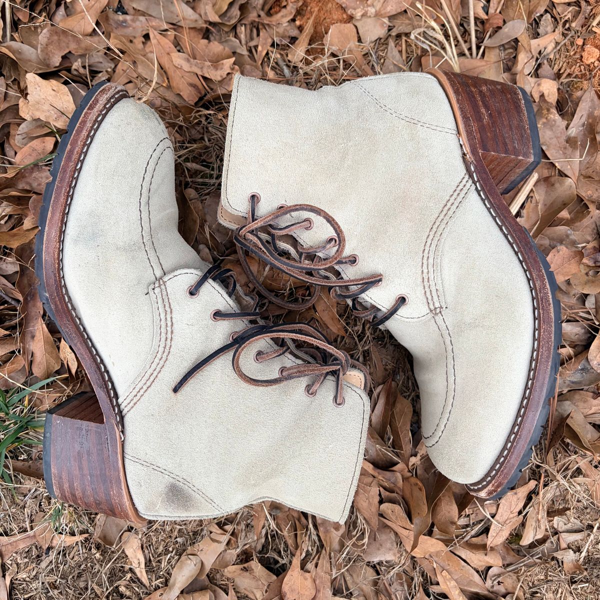 Photo by rosieteacher on February 5, 2026 of the Red Wing Clara in White Sand Mohave.