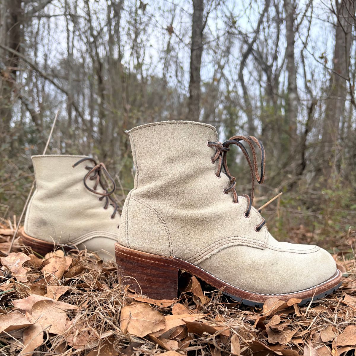 Photo by rosieteacher on February 5, 2026 of the Red Wing Clara in White Sand Mohave.