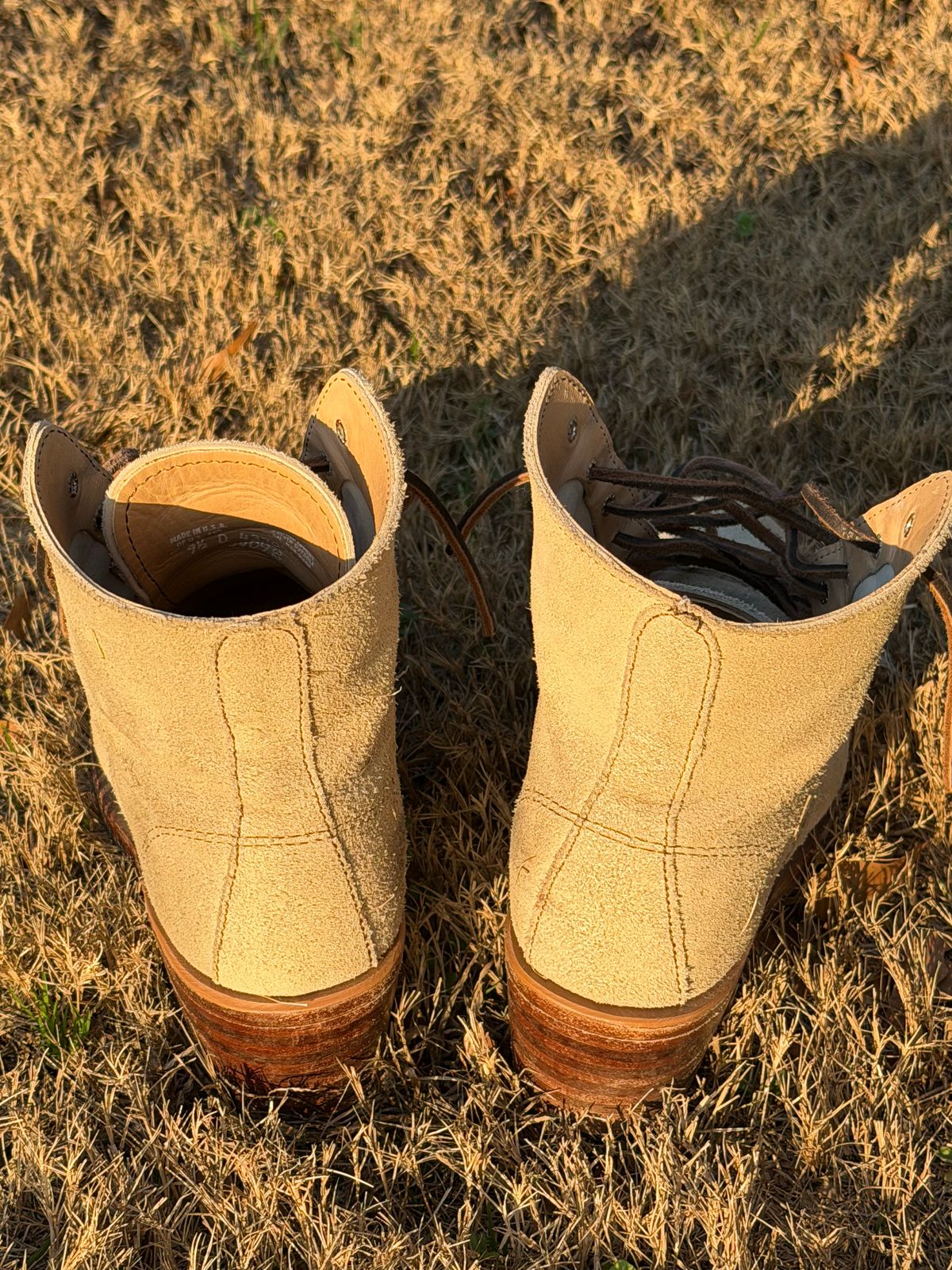 Photo by rosieteacher on March 1, 2026 of the Red Wing Clara in White Sand Mohave.