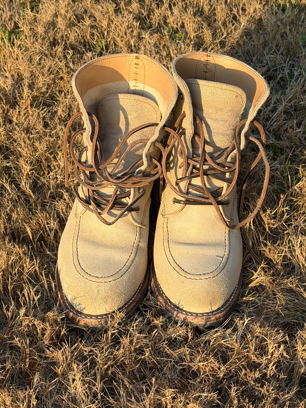 Photo by rosieteacher on March 1, 2026 of the Red Wing Clara in White Sand Mohave.