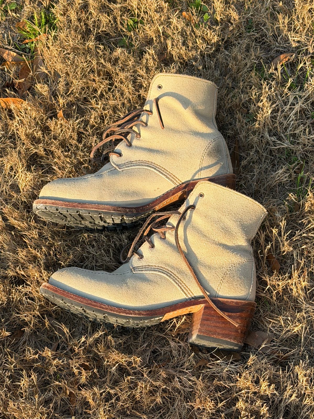 Photo by rosieteacher on March 1, 2026 of the Red Wing Clara in White Sand Mohave.