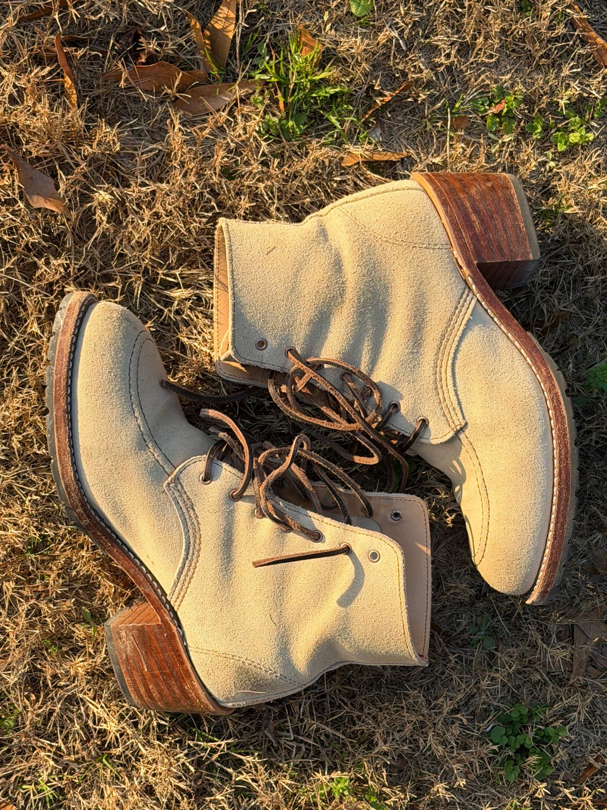 Photo by rosieteacher on March 1, 2026 of the Red Wing Clara in White Sand Mohave.