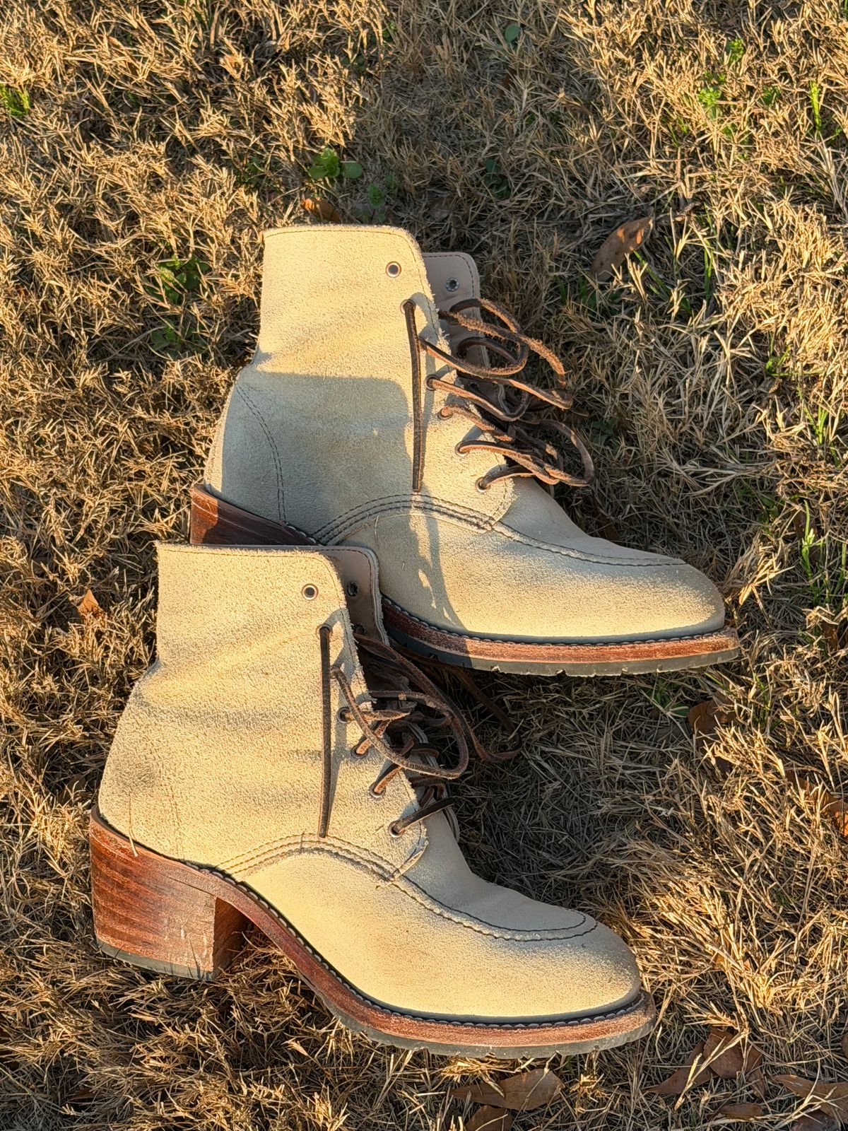 Photo by rosieteacher on March 1, 2026 of the Red Wing Clara in White Sand Mohave.