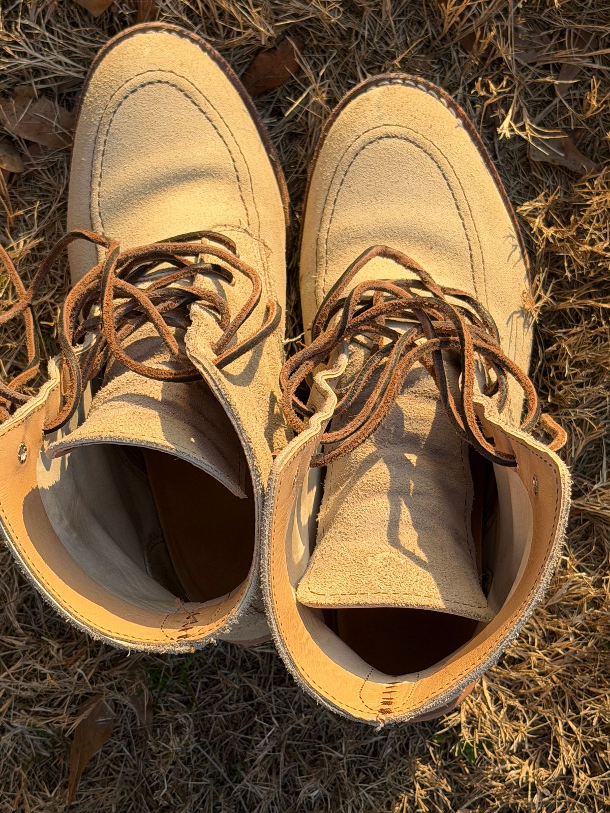 Photo by rosieteacher on March 1, 2026 of the Red Wing Clara in White Sand Mohave.