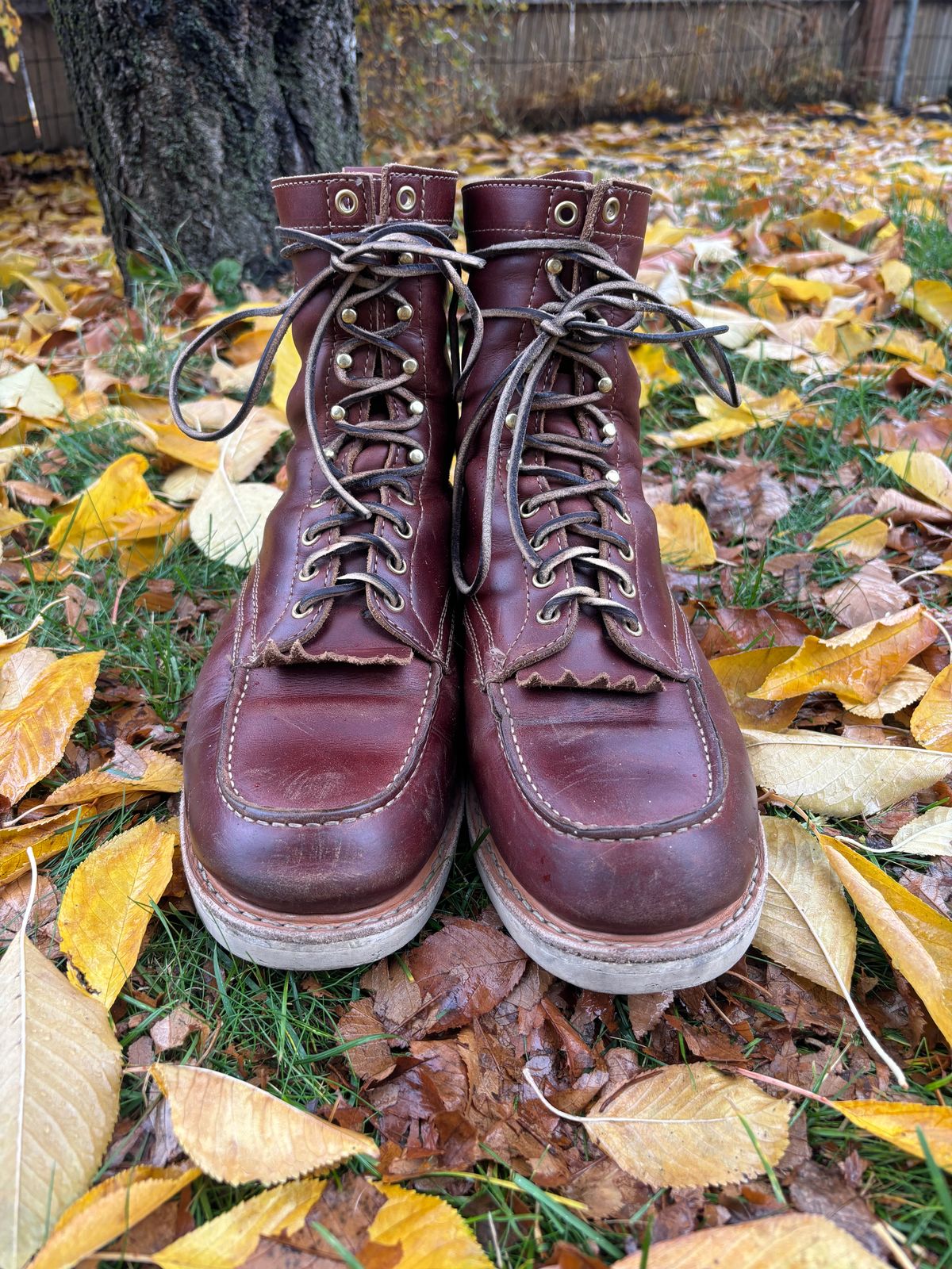 Photo by BootyBootyBooty on November 1, 2024 of the White's Perry 8" Select in Seidel British Tan Double Shot.