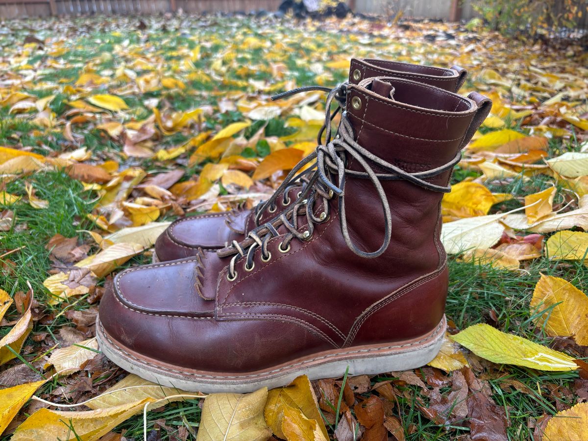 Photo by BootyBootyBooty on November 1, 2024 of the White's Perry 8" Select in Seidel British Tan Double Shot.