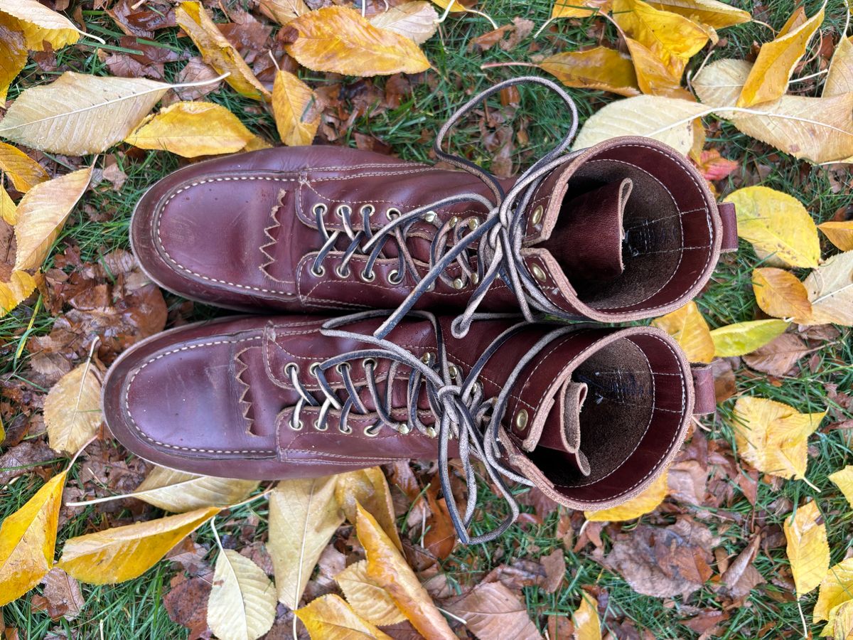 Photo by BootyBootyBooty on November 1, 2024 of the White's Perry 8" Select in Seidel British Tan Double Shot.