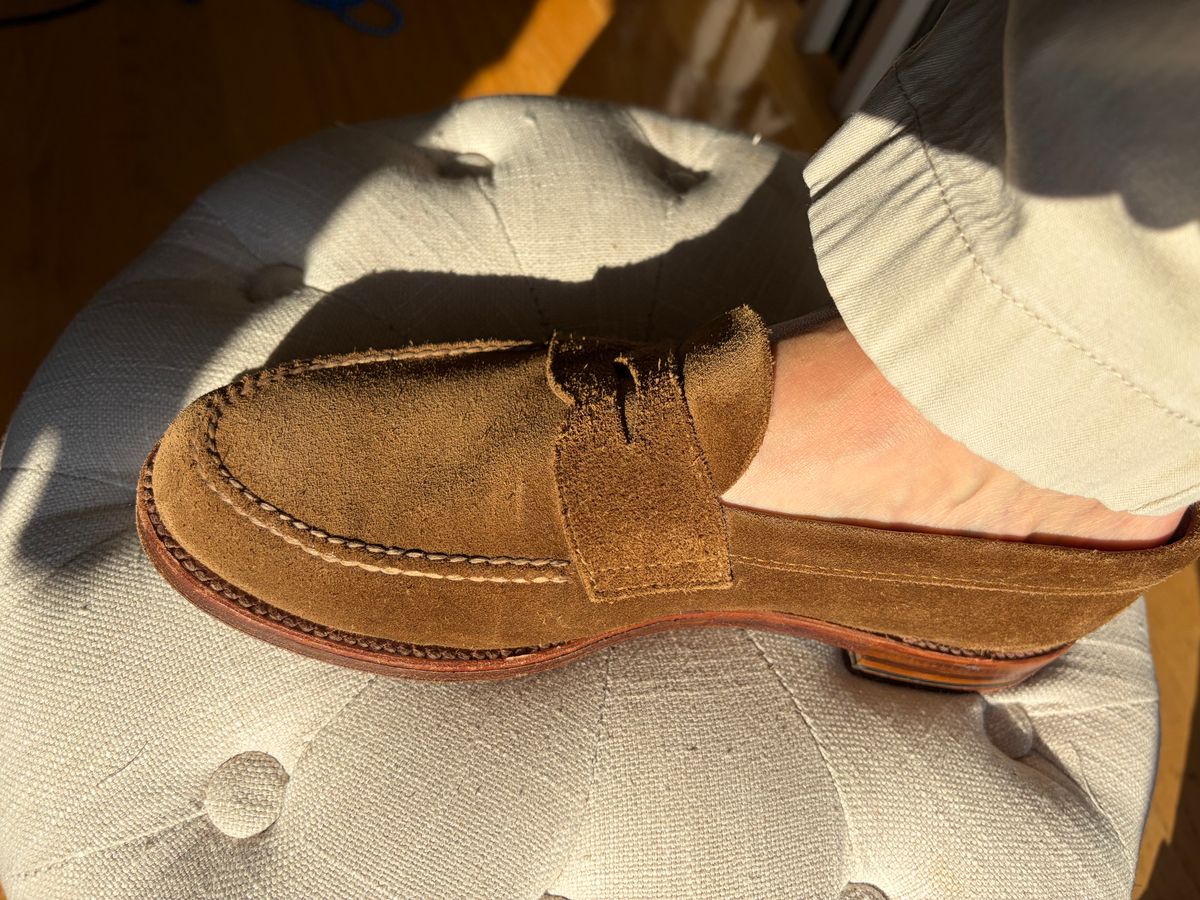 Photo by shoe_enjoy_myself on June 24, 2026 of the Alden Leisure Handsewn Penny Loafer in Snuff Suede.