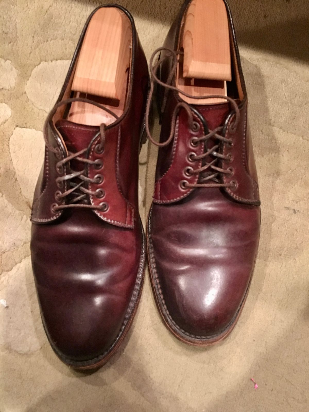 Photo by shoe_enjoy_myself on October 15, 2016 of the Alden Plain Toe Blucher in Horween Color 8 Shell Cordovan.