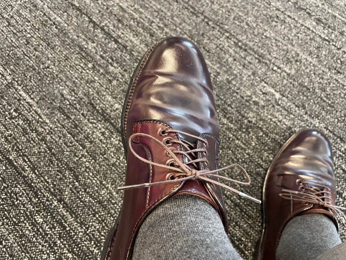 Photo by shoe_enjoy_myself on September 8, 2025 of the Alden Plain Toe Blucher in Horween Color 8 Shell Cordovan.