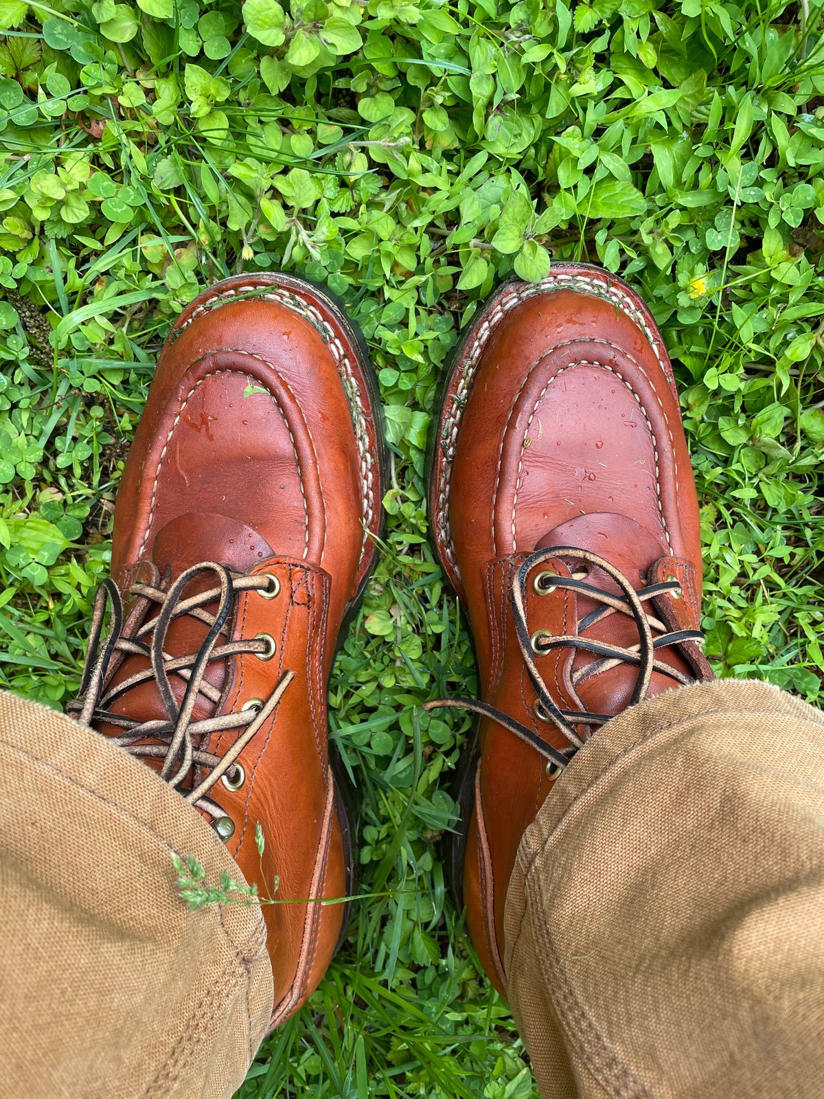 Photo by shoe_enjoy_myself on May 25, 2026 of the Nicks MTO in Wickett & Craig Natural Double Stuffed.
