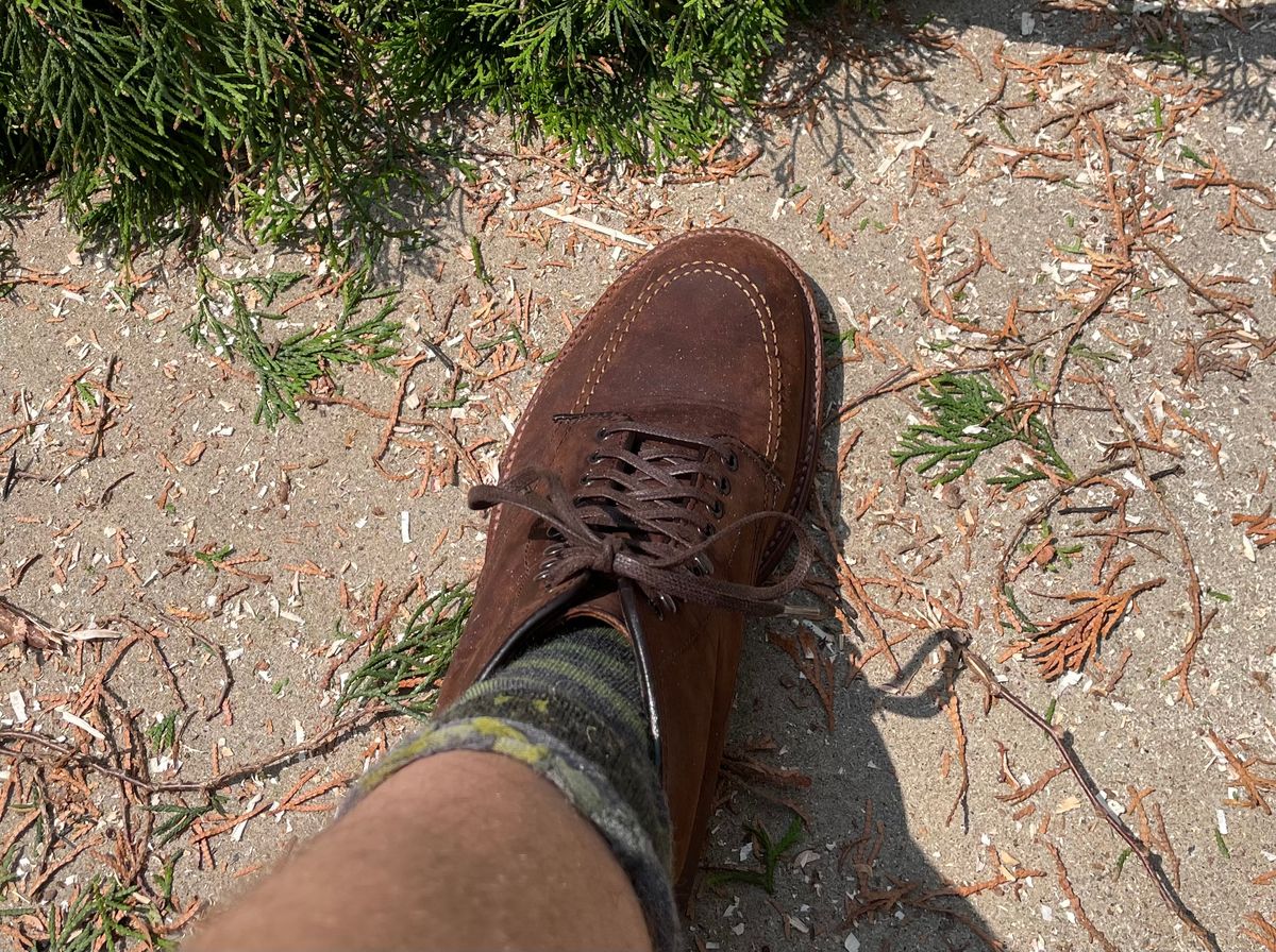 Photo by shoe_enjoy_myself on August 3, 2025 of the Alden Indy Boot in Horween Tobacco Smooth Chamois.