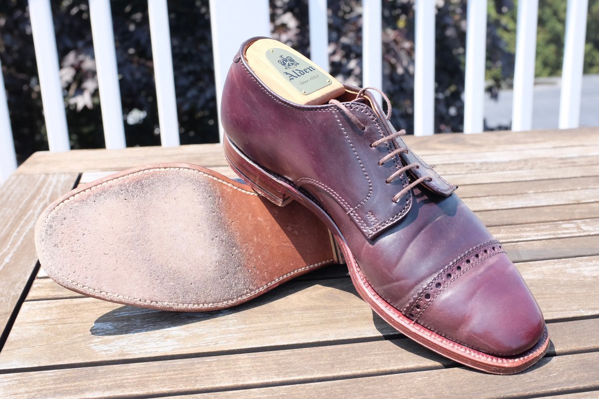 Photo by shoe_enjoy_myself on July 28, 2025 of the Alden Director Unlined Perforated Tip Derby in Horween Color 8 Shell Cordovan.