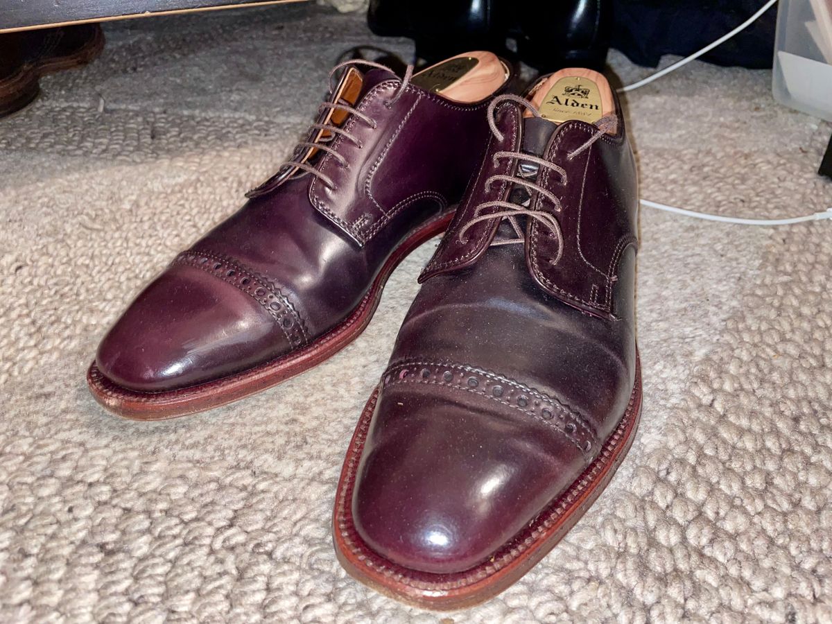 Photo by shoe_enjoy_myself on June 29, 2025 of the Alden Director Unlined Perforated Tip Derby in Horween Color 8 Shell Cordovan.
