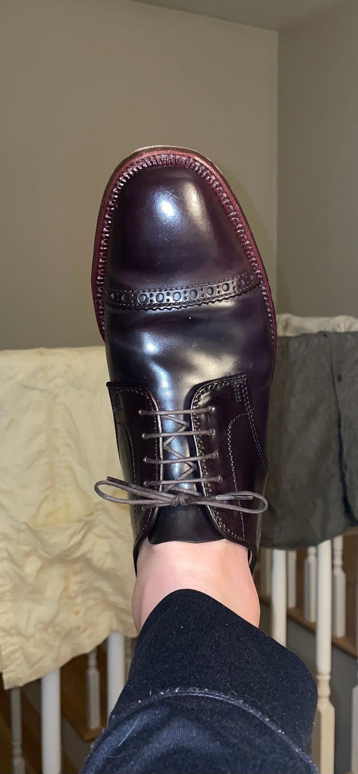 Photo by shoe_enjoy_myself on May 20, 2025 of the Alden Director Unlined Perforated Tip Derby in Horween Color 8 Shell Cordovan.