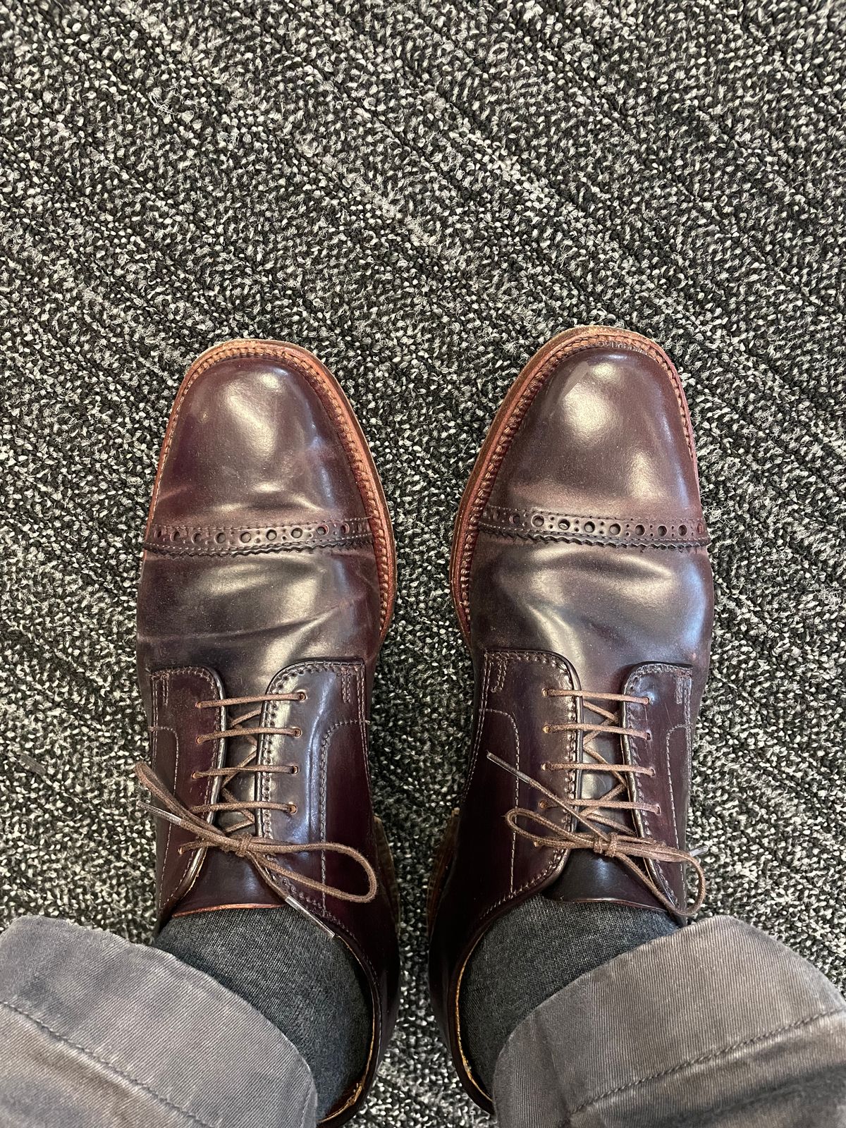 Photo by shoe_enjoy_myself on September 15, 2025 of the Alden Director Unlined Perforated Tip Derby in Horween Color 8 Shell Cordovan.