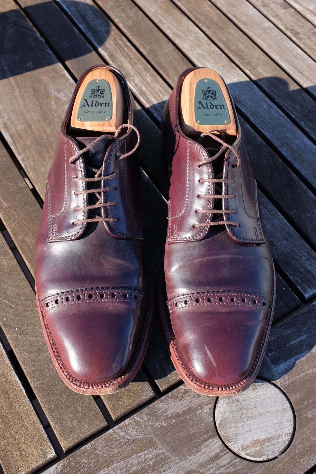 Photo by shoe_enjoy_myself on November 2, 2025 of the Alden Director Unlined Perforated Tip Derby in Horween Color 8 Shell Cordovan.