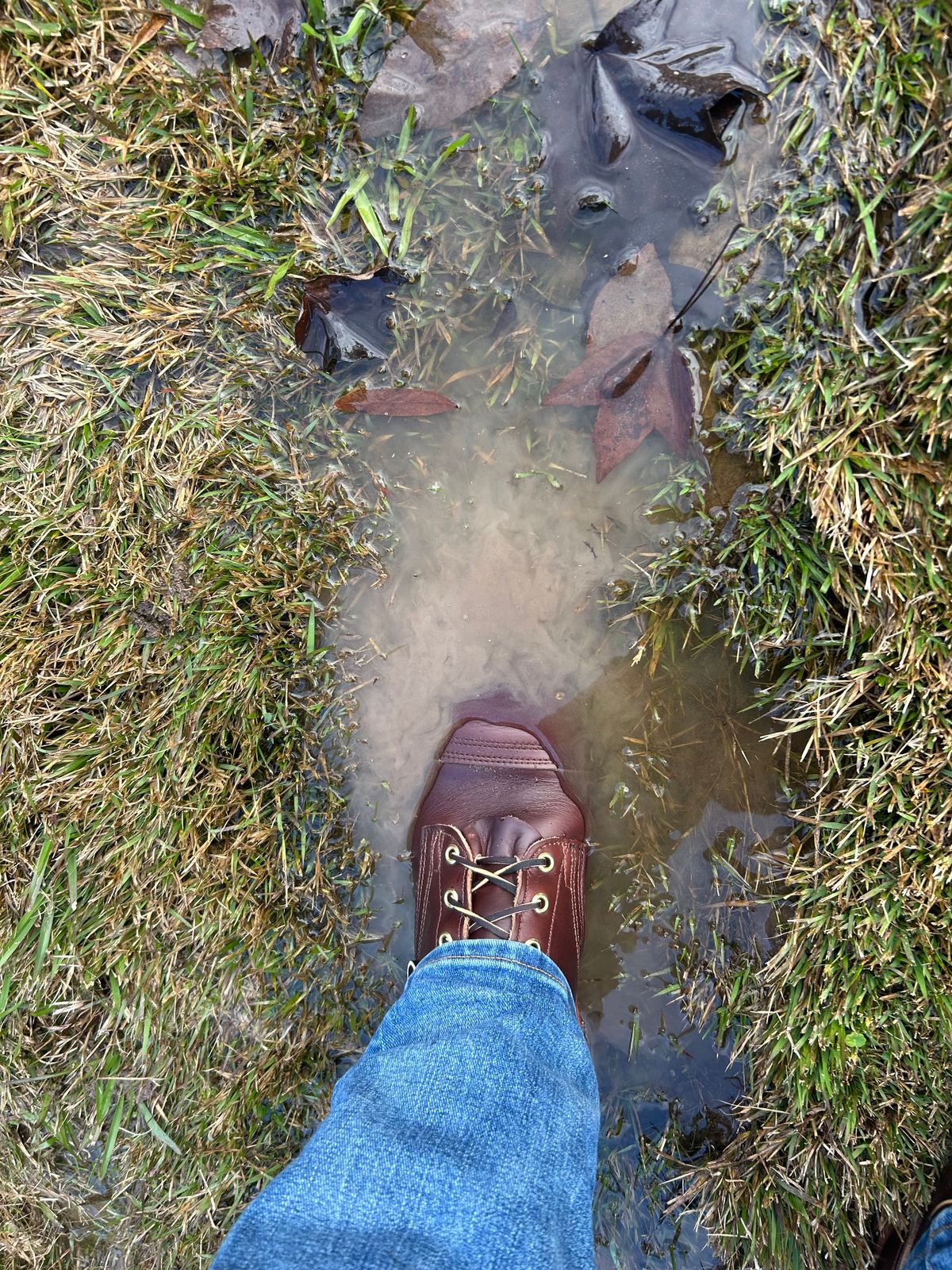 Photo by lost_doublestuffed on December 26, 2025 of the Nicks Parkhust V3 in Shackleton Brown.