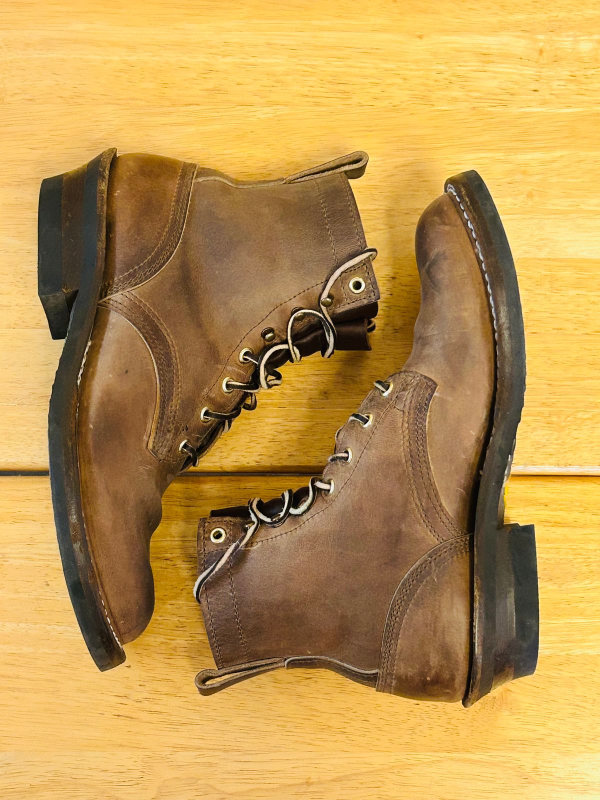 Photo by code96 on October 31, 2025 of the Nicks DomePro in Natural Predator.