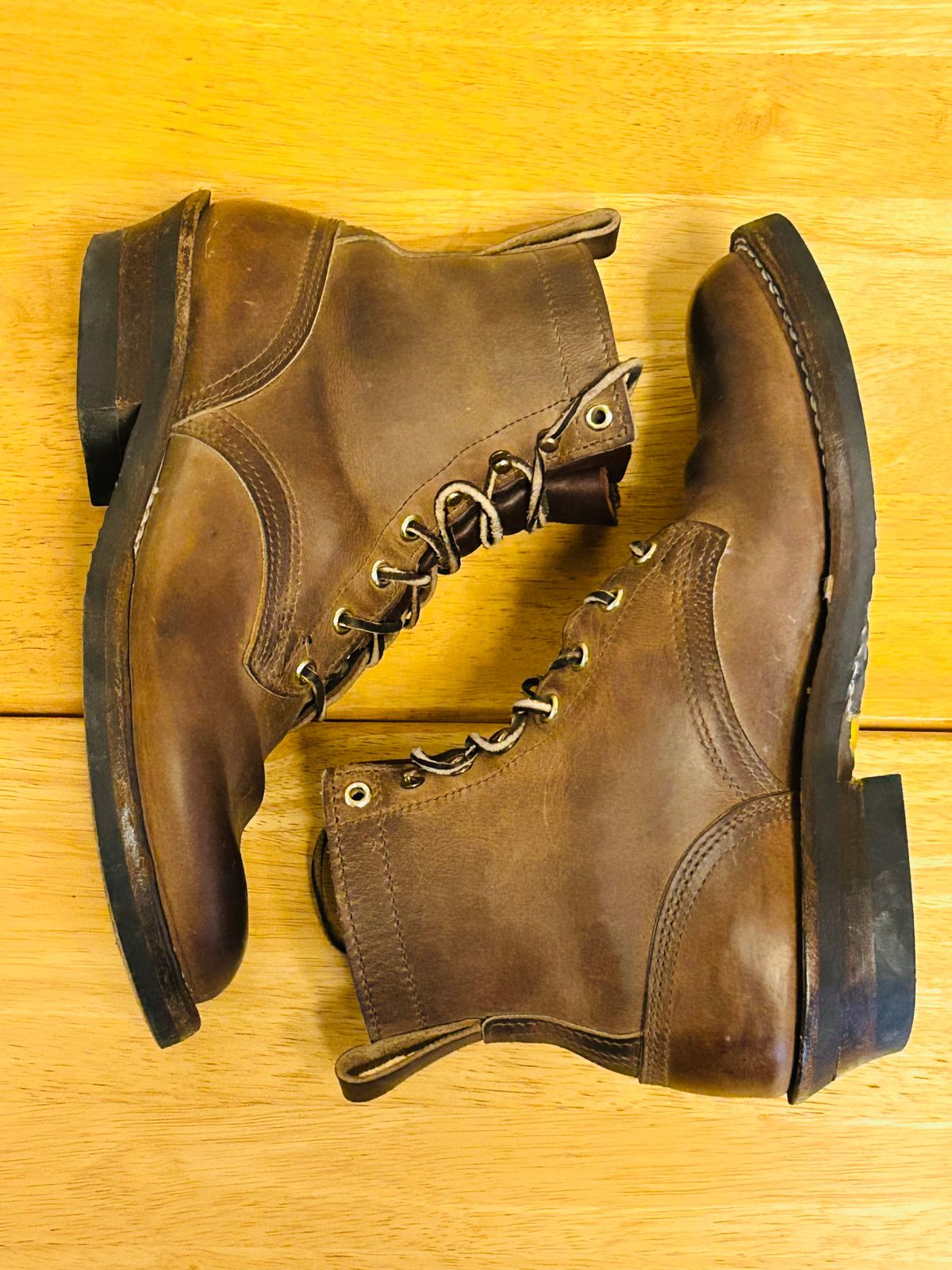 Photo by code96 on November 30, 2025 of the Nicks DomePro in Natural Predator.