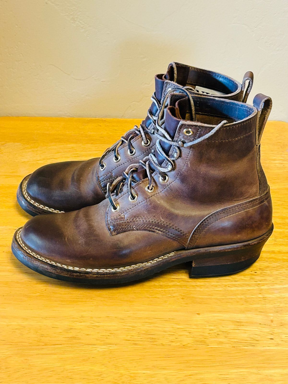 Photo by code96 on January 1, 2026 of the Nicks DomePro in Natural Predator.