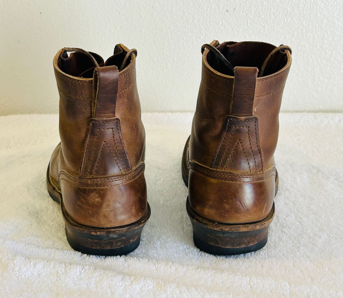 Photo by code96 on February 1, 2026 of the Nicks DomePro in Natural Predator.