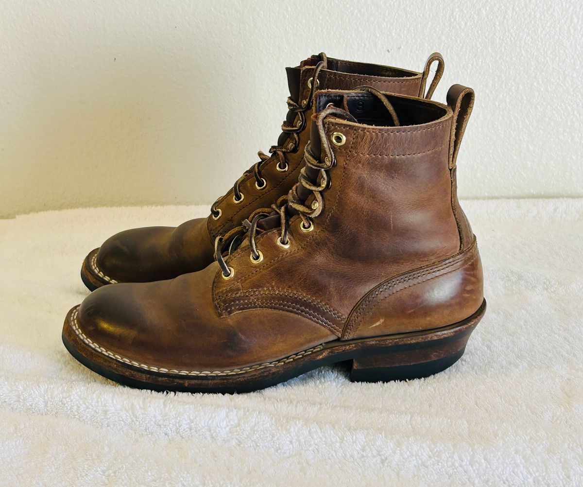 Photo by code96 on February 1, 2026 of the Nicks DomePro in Natural Predator.