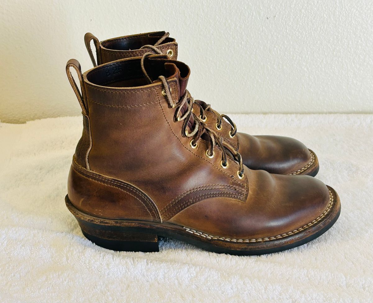 Photo by code96 on February 1, 2026 of the Nicks DomePro in Natural Predator.