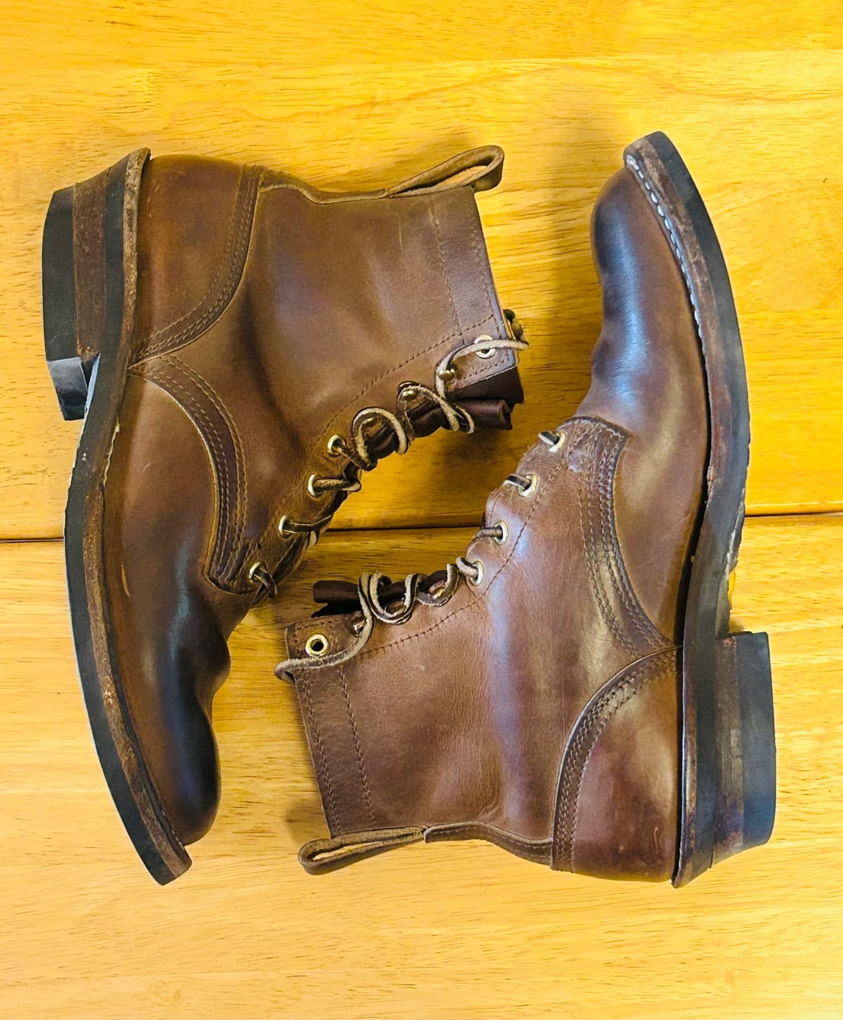 Photo by code96 on March 1, 2026 of the Nicks DomePro in Natural Predator.