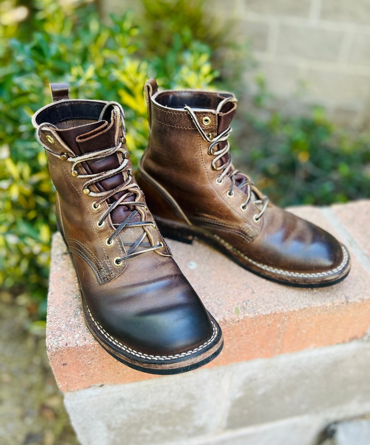 Photo by code96 on April 2, 2026 of the Nicks DomePro in Natural Predator.