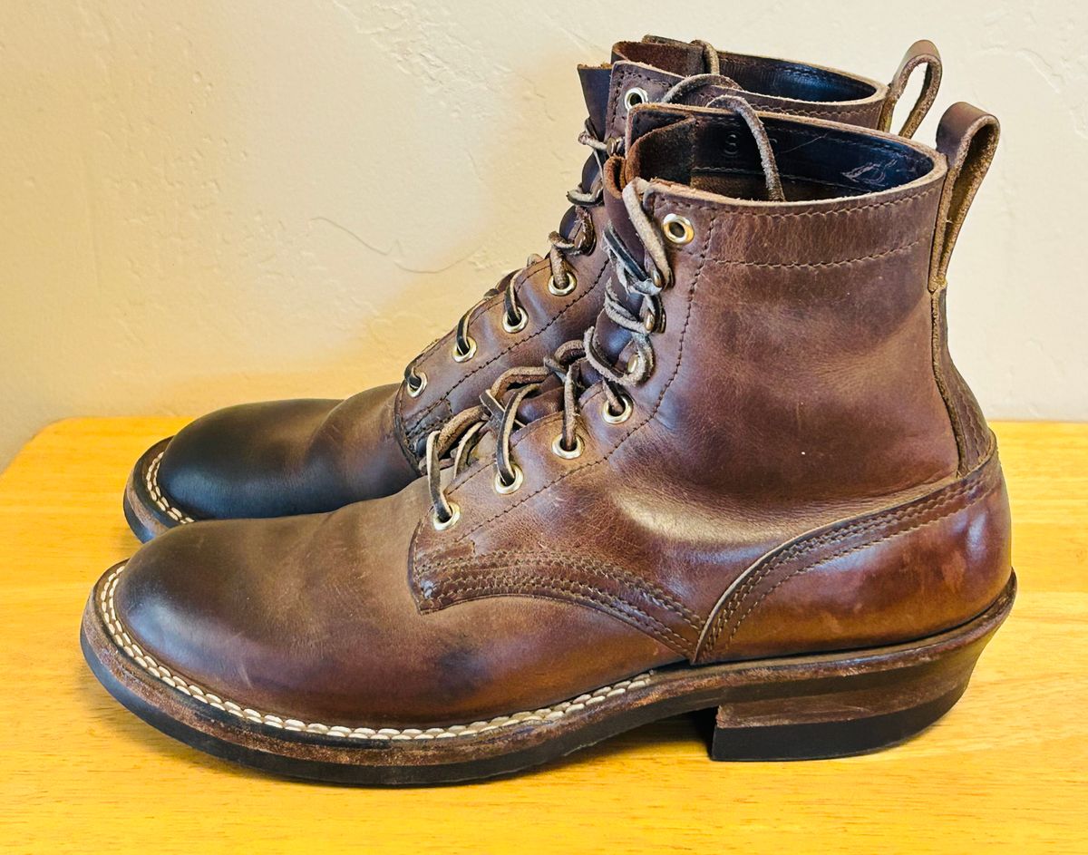 Photo by code96 on April 2, 2026 of the Nicks DomePro in Natural Predator.