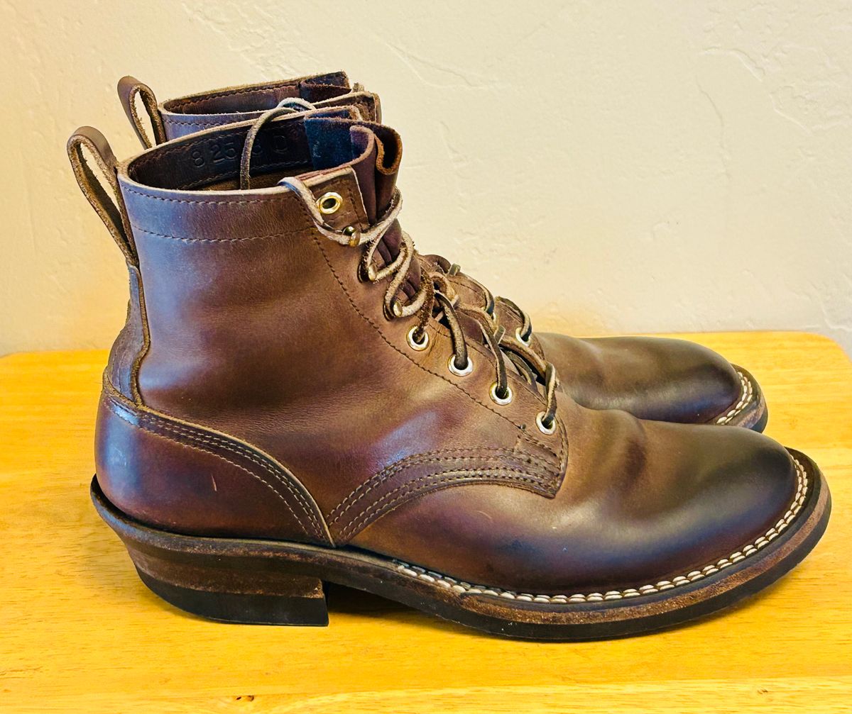 Photo by code96 on April 2, 2026 of the Nicks DomePro in Natural Predator.