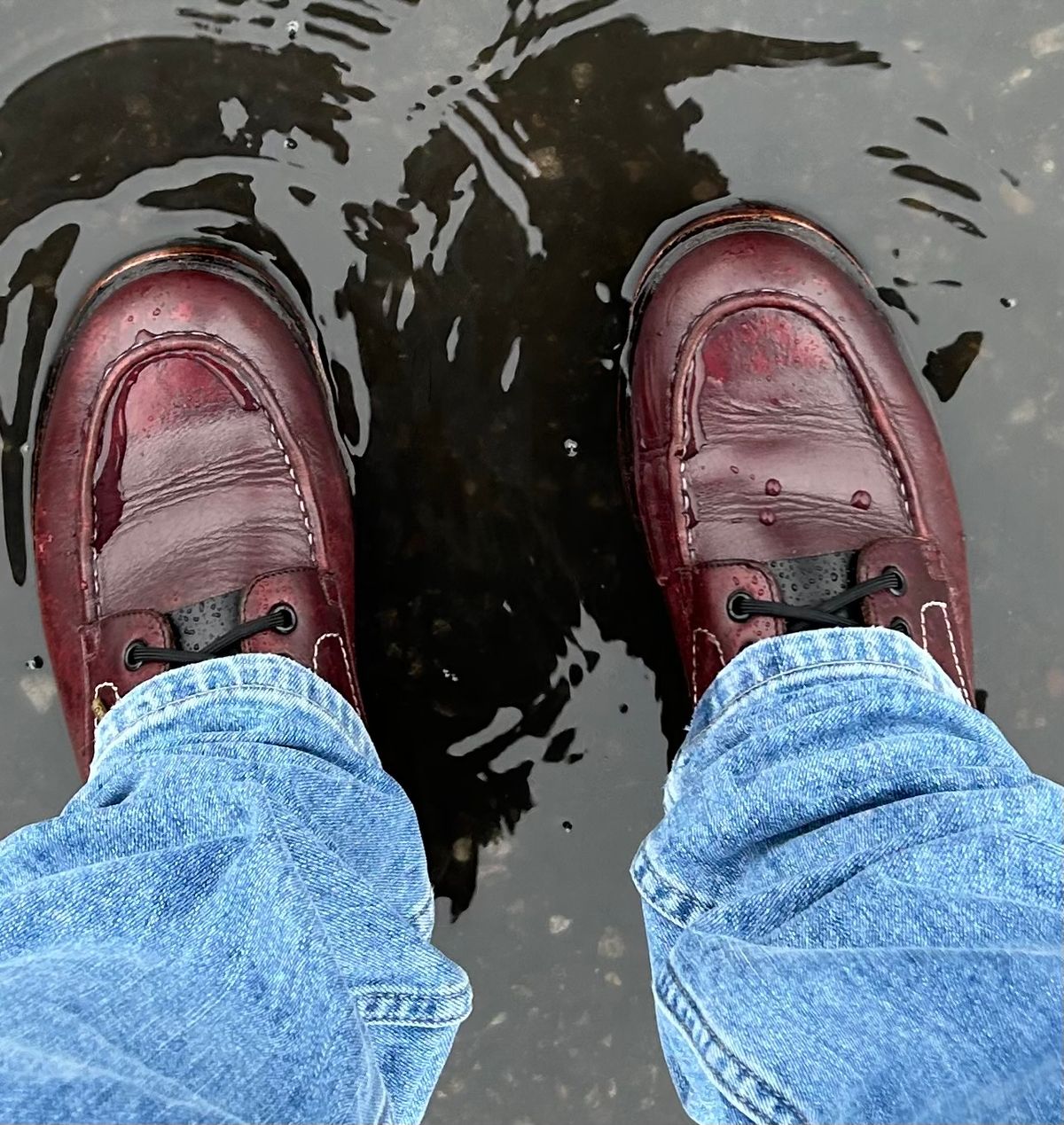 Photo by BB02 on December 21, 2025 of the Blkbrd Shoemaker Dallas in Horween Burgundy Chromexcel.