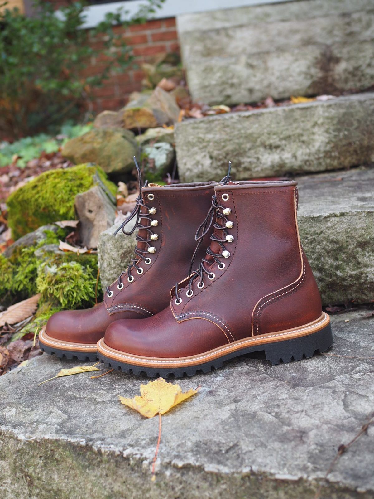 Photo by calvin96 on November 1, 2025 of the Red Wing Logger in S.B. Foot Briar Oil Slick.