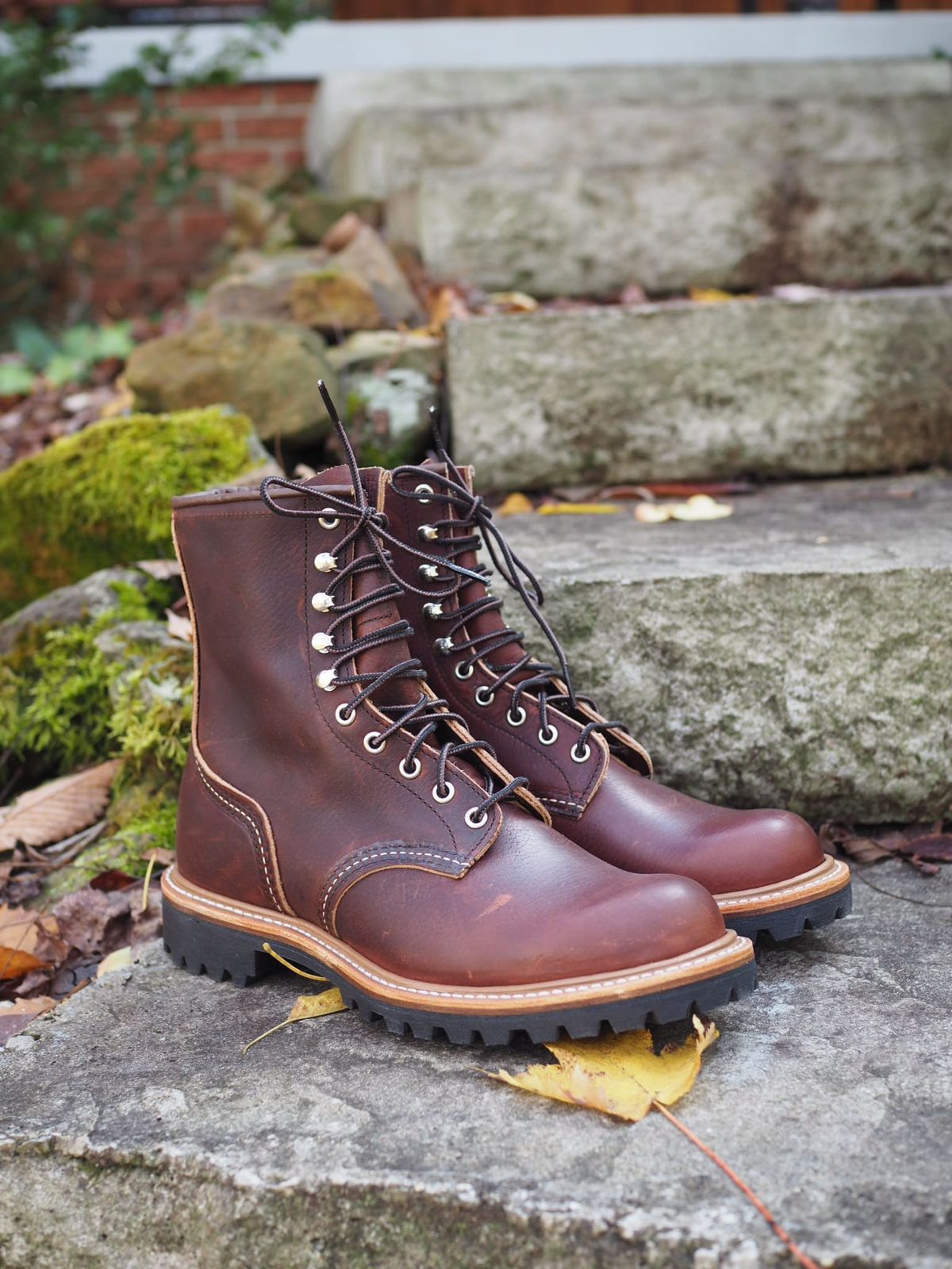 Photo by calvin96 on November 1, 2025 of the Red Wing Logger in S.B. Foot Briar Oil Slick.