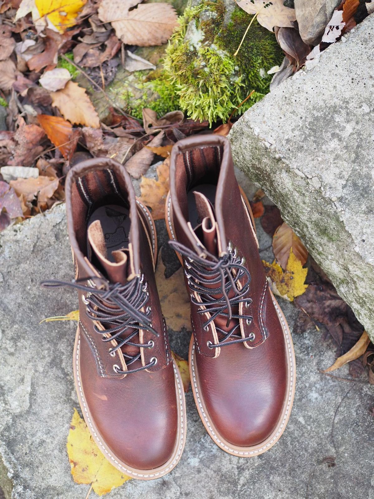 Photo by calvin96 on November 1, 2025 of the Red Wing Logger in S.B. Foot Briar Oil Slick.